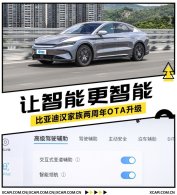 �����ܸ����� ���ǵϺ�����������OTA