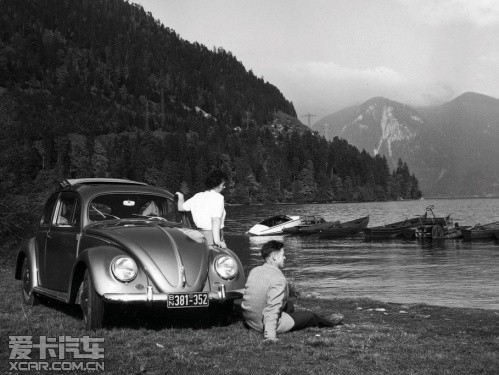 beetle