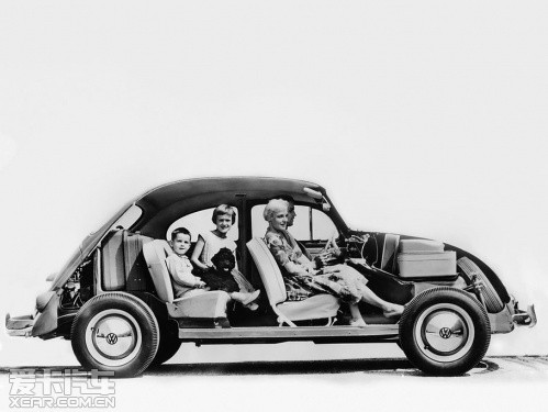 beetle