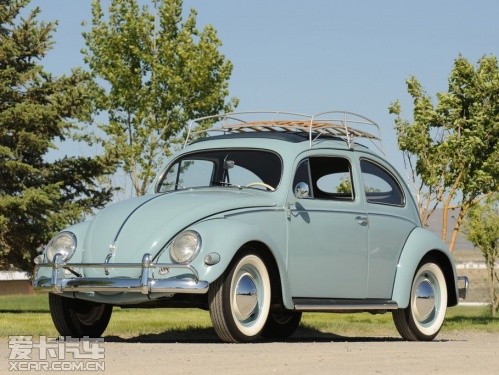 beetle