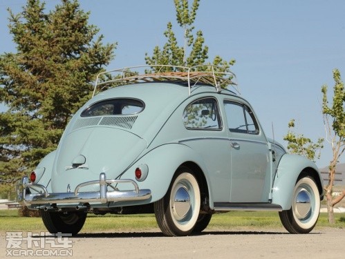 beetle