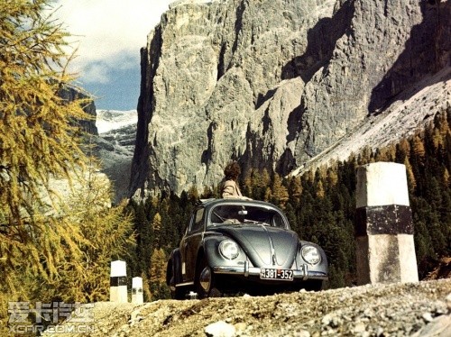 beetle