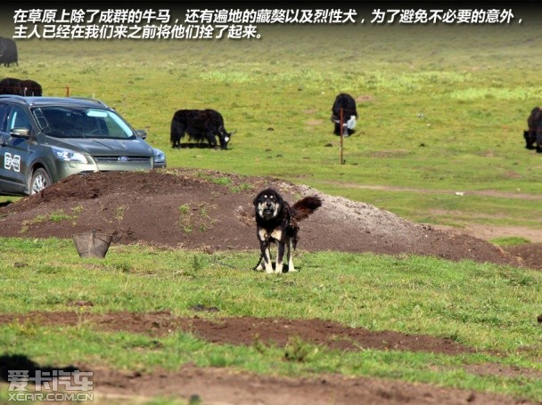 重走唐蕃古道！体验福特翼虎无尽之旅