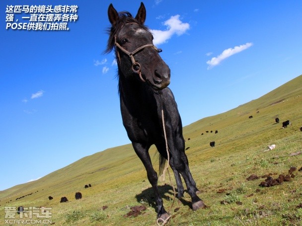 重走唐蕃古道！体验福特翼虎无尽之旅