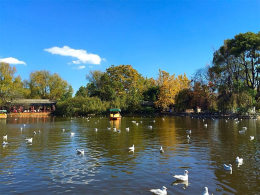 һ����֮�϶˵�Լ�� ����֮����ʳ֮��