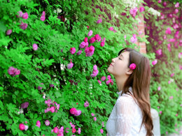 ·��һ���羰�� ������Ů����ǾޱŮ��