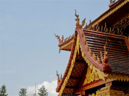 ������˫���ɵ����� ��������������԰