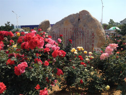 ���������Ͳ��� �����������¼�԰֮��