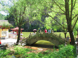 �����ɾ� ���ܸ����������ϵ����ﻨ��