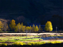 �߷���Ӱ�ҵ����� ��Ӱ�������¶�����