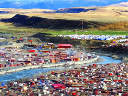 ��ԭ��ľ����԰ ����������������