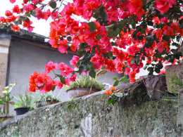 �ݷ���������ϴ��� ����ϼ��ӡ��С��