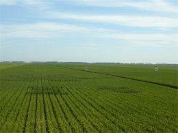 ���ζ��������� �����˿�����ͯ��ӡ��