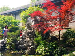 �羰��߶��� Яȫ����黪���Լ�����