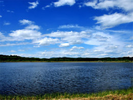 ������ԭ���� �������Ӱ��ư���������