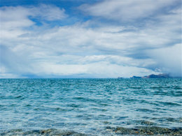 ��������ʥ��֮һ ������ľ��ʥ������