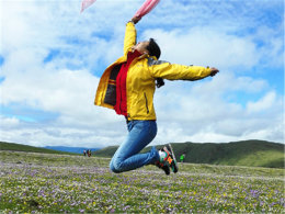 ���ֳ�����ϵ���� ���ߺ�ԭ��ľ������