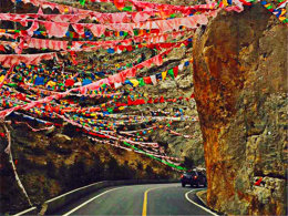 ���忲��Ѱʧ������֮�� �Լ���ެ�ŵ�