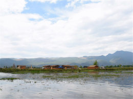 �߲����ŵ����з��� �������������к�