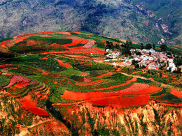 Զ������������Ȼ �Լݶ������������