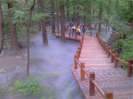 �����������ɾ� ������ӣ�ҹ�ˮɼ����