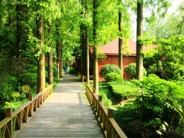 ����Ȼ���ɾ������ �ڳ�����ӵ����Ȼ