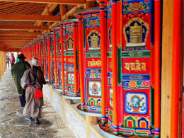 ���ƶ��ָ�������Ͳת ���Ը�������