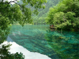 �˼��ɾ�������ȥ ���羵����ľ�կ��