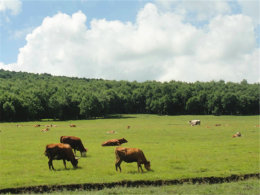 �紵�ݵ� �����ڿ�ʲ��������ԭ�۳�