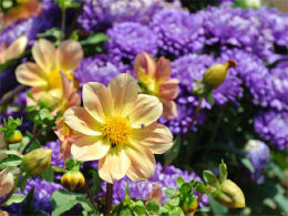 ���к�ȥ�� ������ɽ�����Ƕ�ʴ���Ȼ