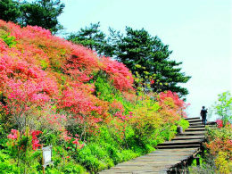 �˼�������ӳɽ���ƻ� ������Ƕž黨