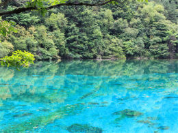 ��������ķ�� �����ھ�կ����������