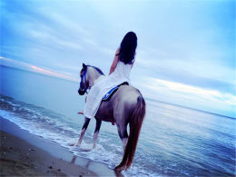 ��������� ����Ϊ�����ܺ�����������