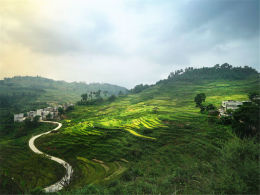 ������Զ�������� �����ڽ�ɫ��������