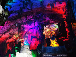 ��̾��Ȼ�Ĺ����� ��ǧ�˰�̬���ʵ�