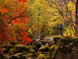 ��Ů�·����ر� ���������˼ֱ����ͷ