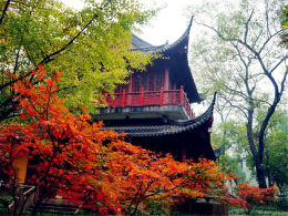 ������¾���һĨ���� ��ϼɽ��������