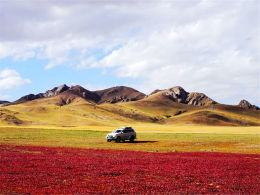 �·������������� �̹����ĵ�����֮��