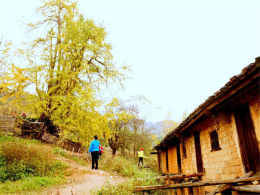 �λ��еĽ�ɫ���� �Լ�������������ɫ