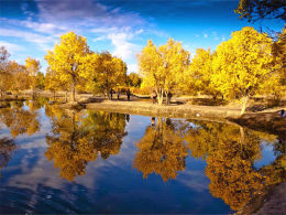 ��Ȼ������� �����������ֵ�Ӱ����