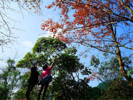 ���ϵġ���������� ������ɽ������Ũ