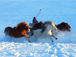 ���ȳ��Եĵط� �ܲ������´�������ͳ