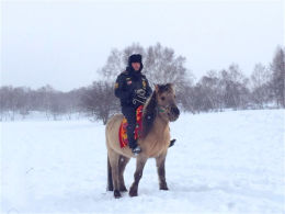 �����տ���װ�ع� �ڰ��ϲ�ԭ����۳�