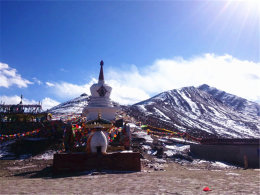 �Ǿ�ӭ��ϲ�¶� ��Խ318�������߹�����