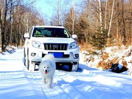 ��η��������ǰ�� ��Խ�ֺ�ѩԭ���Կ�