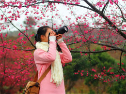 ӣ�����¼�֤�Ҹ� ���ݿ������·�����