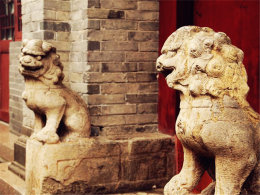 �ȹ��˶��ٴ��ﶬ�� �ƶ��ƻ�ǰ������