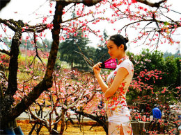 �����һ���ӳ�� ������ƽ��������ƽ��