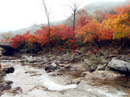 �ص��ƿ������� ��������족ɽ������