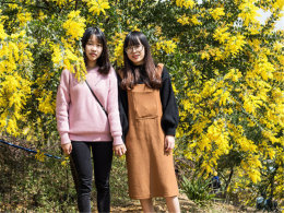 �칫������ʱ�� ��ɽ�ϻ������������